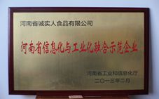 河南信息与工业融合师范企业